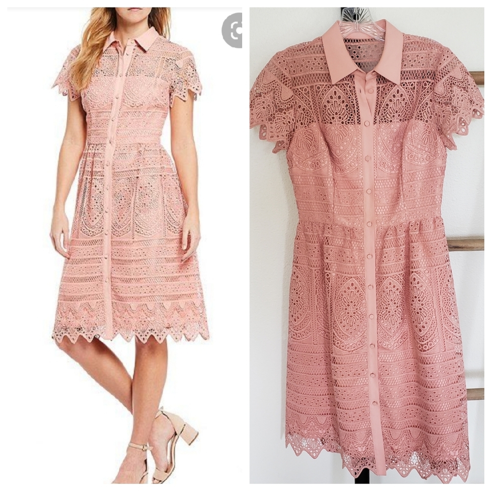 Beautiful Antonio Melani Pink Dress Size 2